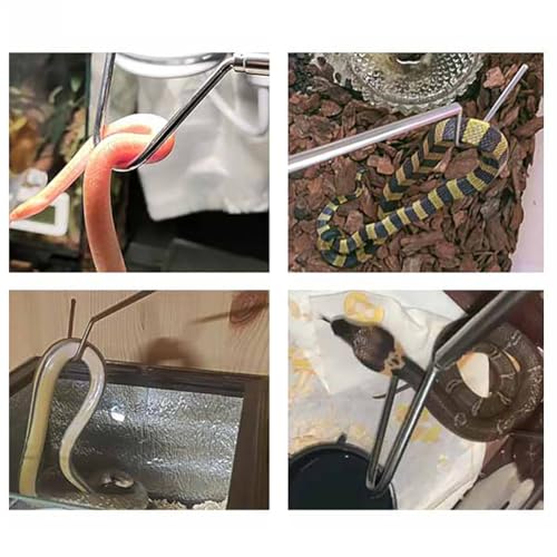 GSHLLO 18-66cm Extendable Catching Hook Stainless Steel Snake Hook Long Reptile Hook Reptile Handling Tool Snake Handling Hook Retractable Hook Tool for Controlling Moving