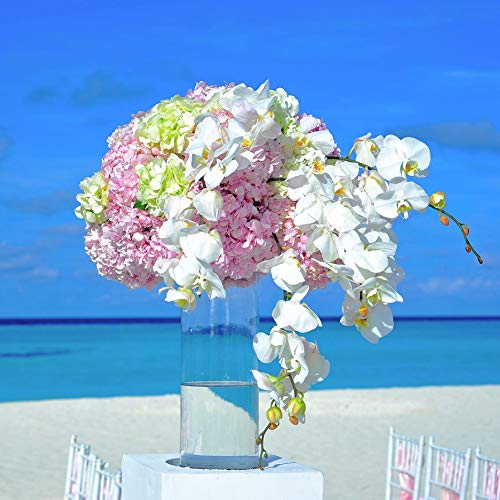 WGV Cylinder Vase, Width 6", Height 20", Clear Glass Container Terrarium Candle Holder for Wedding Centerpiece, Party Event, Home Office Decor, 1 Piece - size: 6"x20"H