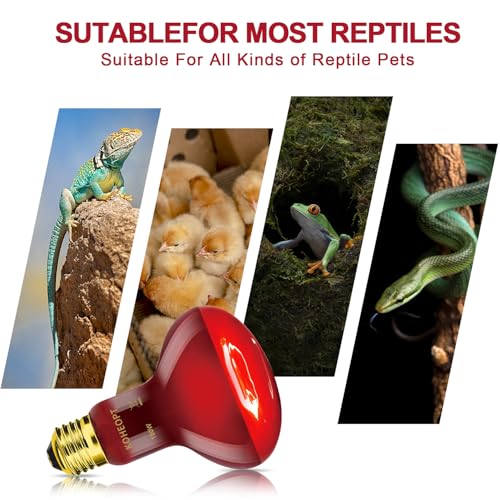 Infrared Heat Lamp 100W,（2 Pack） Reptile Heat Emitter Infrared Basking Spot Light, Reptile Pets Brooder Use,Red Heat Lamp for Chickens、Lizards、Snakes、Turtles