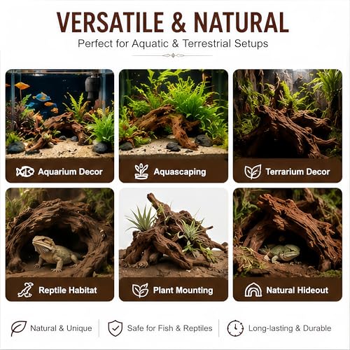 Natural Aquarium Driftwood, 15 to 18 Inch Single Piece, Fish Tank Decor and Aquascaping Wood for Freshwater Aquariums, Reptile Terrarium and Air Plant Display