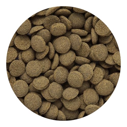 Hikari Tropical Sinking Wafers for Catfish, Loaches and Bottom Feeders 3.88 oz