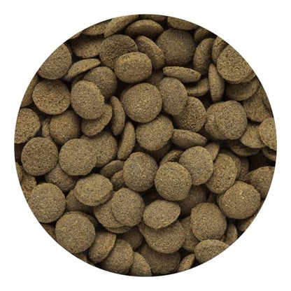 Hikari Tropical Sinking Wafers for Catfish, Loaches and Bottom Feeders 3.88 oz