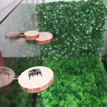 Jumping Spider Accessories, 3 Pack Wooden Ledges with Magnets, Natural Pine Spiders Ledges, Jumping Spider Enclosure Accessories, Magnetic Reptile Ledge
