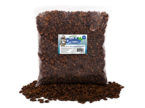 Chubby Dried Silkworm Pupae | 11 lbs | High-Protein Treat for Koi, Fish, Reptiles & Terrapins – Nutrient-Rich Calcium Snack - size: 11 Pound (Pack of 1)