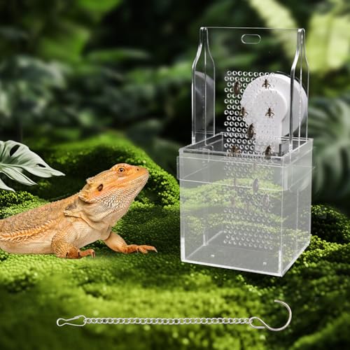 Chameleon Feeding Bowl, Hanging/Mounted Translucent Acrylic Bearded Dragon Feeder with Grid Plate for Bugs Climbing and Move, Aquarium & Terrarium Accessories for Lizard Iguana