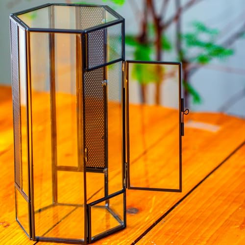 NCYP Small Glass Enclosure Terrarium with Mesh and Door for Spiders - Hexagon Shape Small Mantis Vented Glass Terrarium 4.9'' x 4.3'' x 9.4'', Tabletop Decor, Black (Plants Not Include)