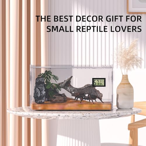 Reptile Terrariums with Temperature Hygrometer, 11.8"x7.9"x5.9" Acrylic Breeding Box Terrarium Cage Tank for Small Reptile Insect Home Office (Terrestrial) - size: Terrestrial--M (Tray)