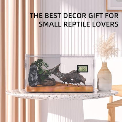 Reptile Terrariums with Temperature Hygrometer, 15.7"x9.9"x7.1" Acrylic Breeding Box Terrarium Cage Tank for Small Reptiles, Insects, Home Office (Terrestrial) - size: Terrestrial--L (Tray)