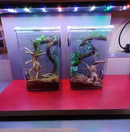 YZHZOM 8pcs Natural Small Spiderwood Driftwood for Aquarium Decor Aquarium Driftwood Freshwater Reptile Driftwood Aquarium spiderwood (spiderwood 5-6inch 8pcs)
