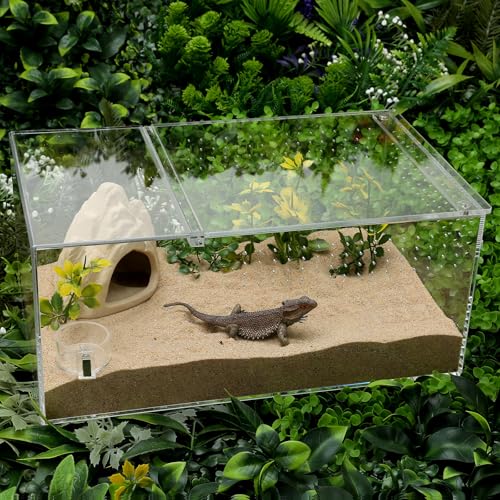 2 Pack Jumping Spider Feeding Dish, Acrylic Tarantula Water Dish Food Bowl | Jumping Spider Food Water Dish, Strong Double Magnets, Jumping Spider Enclosure Accessories for Insect,Reptile,Mantis,Bug
