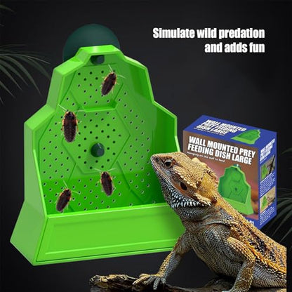 Reptile Feeder Reptile Feeding Dish | Tank Accessories, Anti-Escape Hunting Bowl for Chameleon Frog Snake Spider Amphibian Tortoise Gecko