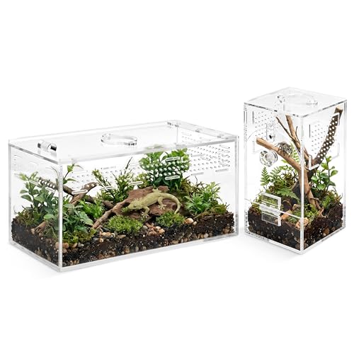 Jumping Spider Enclosure Set, Terrestrial Arboreal Combo, Acrylic Tarantula Terrarium, Praying Mantis Habitat, No Assembly, 2-Size Kit, Medium - size: Medium