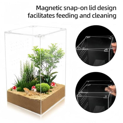 Jumping Spider Enclosure Kit with 3 Mushroom Hides 1 Feeding Dish- 10x6x6 Inch Acrylic Vertical Reptile Tank for Tarantulas, Mantis, Hermit Crabs & Small Pets (Clear)