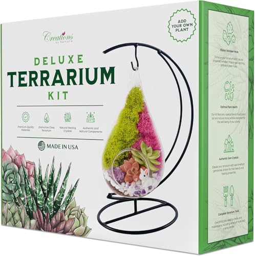 Creations by Nathalie DIY 7" Teardrop Terrarium Kit DIY Terrarium Kit with Live Succulent & Moss, Glass Terrarium Kit for Adults & Teens, Terrarium Moss Kit with Crystals, Handcrafted in the USA - color: Customizable Glass