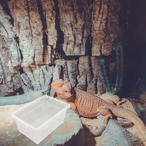 minkissy PVC Reptile Feeding Box for Small Pets and Reptiles with High Surface Hardness and Easy to Observe Container Suitable for Small Animals Showing and Incubation