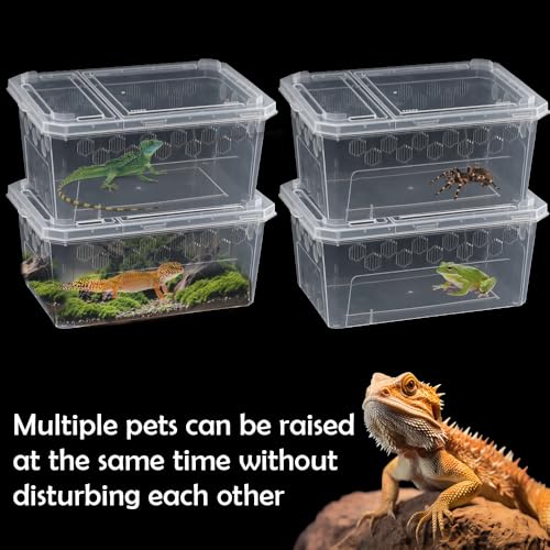 4 Pack Reptile Feeding Box Breeding Box Transparent Cage Habitat Hatching Container for Reptile Spider Scorpion Gecko Tortoise Treefrog