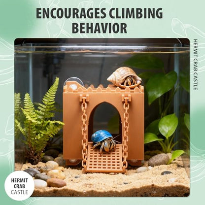 Hermit Crab Climbing Wall Foraging Cave Hermit Crab Accessories Climbing Toy Viewing Moist Hideaway Tank Enrichment Decor for Crabs Parrots Lizards Chameleon Reptiles