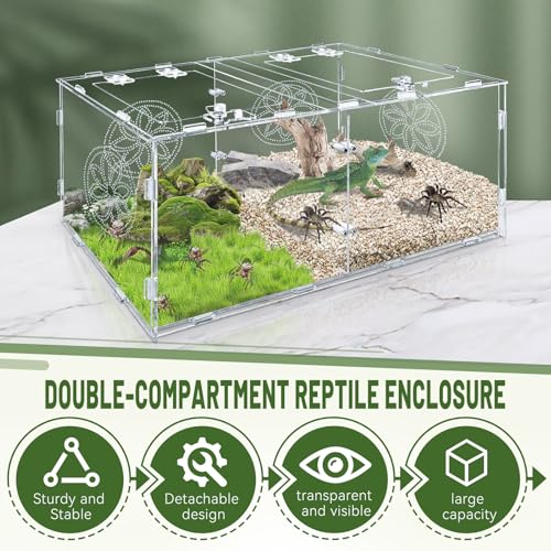 Large Jumping Spider Enclosure, 15.75*7.87*9.84in Acrylic Tarantula Enclosure, Reptile Enclosure for Small Tree Dwelling Reptiles, Amphibians and Invertebrates, Insect Terrarium with Locking Latch