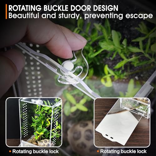 Acrylic Jumping Spider Habitat, Insect Terrarium, Bug Enclosure, Praying Mantis Habitat, Frog Enclosure - size: Small