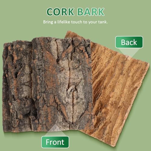 Toddmomy Cork Bark Reptile Terrarium Background 8 Pieces Natural Bark Wood for Gecko Lizard Frog Bearded Dragon Aquarium Decorations Climbing Habitat Decor 5.90 X 5.90 X 1.57 in - size: 8pcs