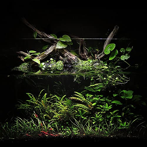 Ultum Nature Systems Controsoil - Freshwater Aqua Soil Substrate for Fish, Shrimp, Live Plant Propagation and Aquascaping - 6.8pH Low Ammonia, Volcanic Ash - Black, Fine (3 Liter) - color: Black - Fine, size: 3 Liters (2.7 kg)