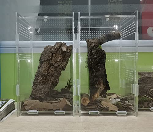 AWXZOM Magnetic Acrylic Case, micro habitat small Tarantula Enclosure enclosure for arboreal Tarantula Scorpion Sling Lizards Mantis Snake Gecko jumping spider snail Insect Isopods (4.7*4.7*7.8 inch) - size: 4.7*4.7*7.8 inch
