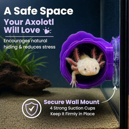 Custom Axolotl Hide with Name – Personalized Aquarium Cave Hideout – Fish Tank Shelter for Axolotls & Small Aquatic Pets (Gray) - color: Gray