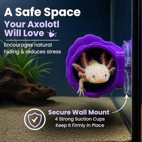 Custom Axolotl Hide with Name – Personalized Aquarium Cave Hideout – Fish Tank Shelter for Axolotls & Small Aquatic Pets (Blue) - color: Blue
