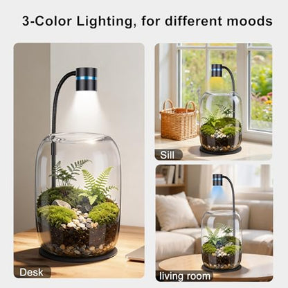Glass Plant Terrarium with LED Grow Light for Home Office | 8.46" H x 5.9" D, Grow Light for Terrarium for Venus Fly Trap, Moss & Succulents, for Plant Lovers