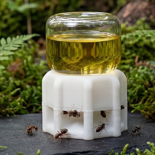 byFormica Liquid Feeder Micro - 1 mL, Set of 6 Feeders - size: 1 Fl Oz (Pack of 6)