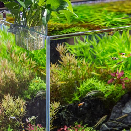 Aquarium Plant Holder,2Pack Transparent Hanging Pot for Fish Tank Aquatic Plant Cultivation and Aquascape Decorations Planter Cups with Hook and Screws