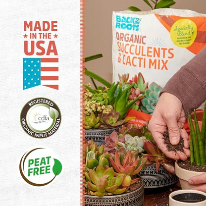 Back to the Roots 100% Organic Succulent & Cacti Mix (6 Quart) | Made in the USA | Premium Nutrition for Indoor and Outdoor Plants - size: 6 Quart, style: Suculent & Catcti Blend