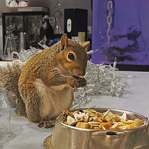 Exotic Nutrition Squirrel Complete (4 lb.) - Healthy Natural Food for Squirrels - Ground, Grey, and Flying Squirrels - size: 4 Pound (Pack of 1)