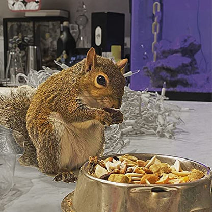 Exotic Nutrition Squirrel Complete (4 lb.) - Healthy Natural Food for Squirrels - Ground, Grey, and Flying Squirrels - size: 4 Pound (Pack of 1)