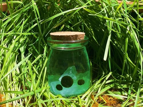 Moss Pet Glass Terrarium Jar Kit with Cork Lid, Mini Desktop Moss Plant Aquarium Decor, Home Ornament Gift