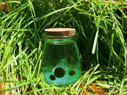 Moss Pet Glass Terrarium Jar Kit with Cork Lid, Mini Desktop Moss Plant Aquarium Decor, Home Ornament Gift