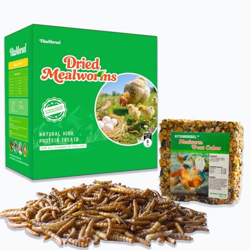 5LB Dried Mealworms + 175g Treat Cake for Chickens & Wild Birds | Dual-texture feeding combo, high-protein supplement, flexible feeding ways, compact storage packaging for flock daily care