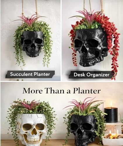 Resin Air Plant Holders,Tilandsia Container,Gothic Skeleton Planter,Halloween Plant Pot,Tillandsia Pot, Skull Table Top Display Planters for Air Plants and Other (Black, 6 * 6 * 4.5'') - size: 6*6*4.5''
