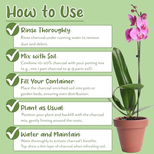 Soil Sunrise Horticultural Charcoal for Indoor Plants (2 Quarts) Hardwood Soil Additive for Orchids, Terrariums, and Gardening - size: 2 Quarts