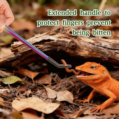 OLIISS Stainless Steel Reptile Feeding Tongs and Spoon Set - 10.6" Straight & Curved Tweezers for Aquariums & Crafts - Feeder Tools for Bearded Dragons & Lizards - Terrarium Tank Supplies - size: 10.6"(with Spoon)