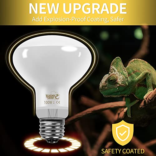 LUCKY HERP New Upgrade 3 Pack 100W Reptile Heat Lamp Bulb (3nd Gen, Safer), Amphibian UVA Heat Light Bulb, Reptile Basking Daylight Spot Lamp Bulb for Bearded Dragon, Lizard, Tortoise Heating Use - size: 100*3