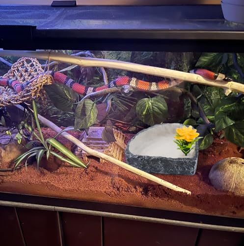Reptile Corner Food Bowl Water Dish,Snake Feed Dish with Artificial Plant Reptile Water Bowl Terrariums for Bearded Dragon Tortoise Chameleon Hermit Crabs Turtle Leopard Gecko Frog