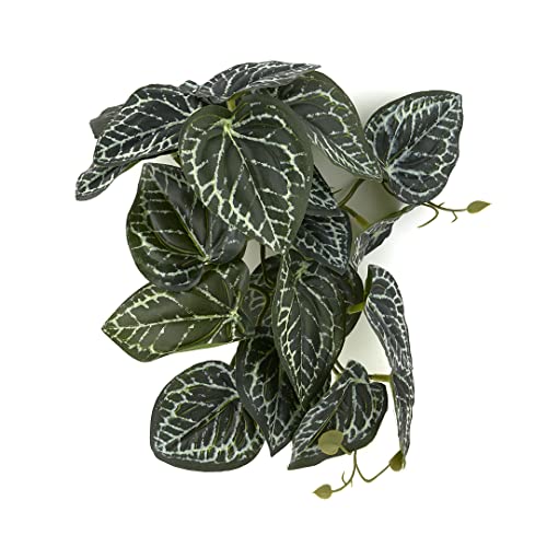 Fake Anthurium Crystallinum, Reptile Terrarium Hanging Decor Plants | Strong Suction Cups, For Arboreal Gecko Lizard Amphibian Habitat - color: Fake Anthurium Crystallinum