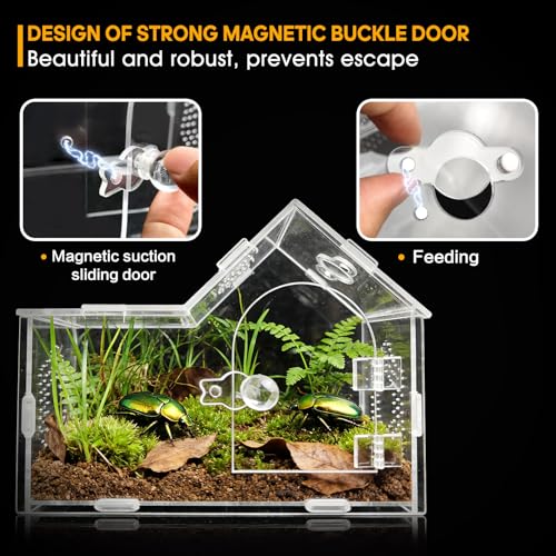 Acrylic Jumping Spider Enclosure with Magnetic Lock – Clear Ventilated Terrarium Box for Tarantulas, Geckos, Mantises, Hermit Crabs, Snails, and Other Small Pets (7.9 x 4 x 6 Inch) - size: 7.9" x 4" x 6"