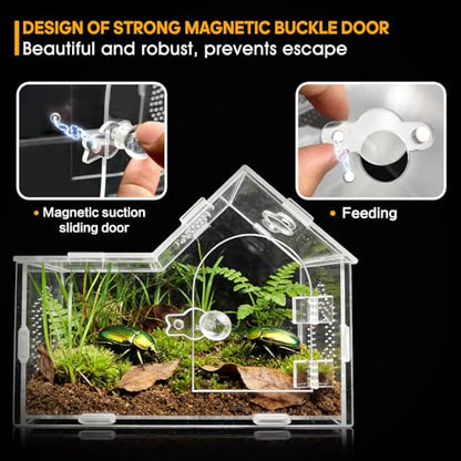 Acrylic Jumping Spider Enclosure with Magnetic Lock – Clear Ventilated Terrarium Box for Tarantulas, Geckos, Mantises, Hermit Crabs, Snails, and Other Small Pets (7.9 x 4 x 6 Inch) - size: 7.9" x 4" x 6"