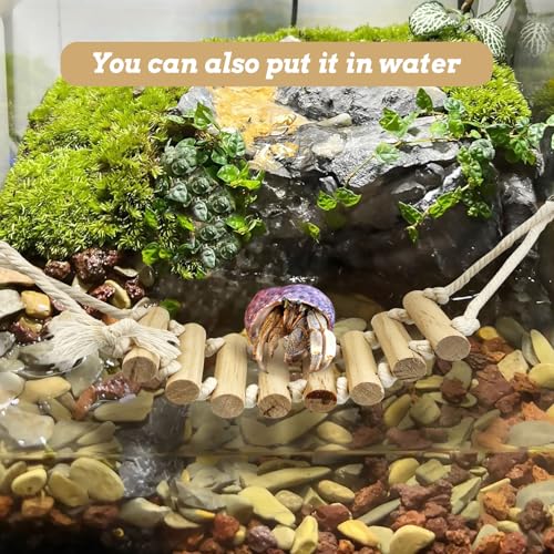 VCEPJH 2pcs Reptile Bridge Leopard Gecko Climbing Ladder Wooden Basking Lounger Reptile Tank Accessories for Hermit Crab Juvenile Bearded Dragon Chameleon Small Lizard Tree Frog and Turtle