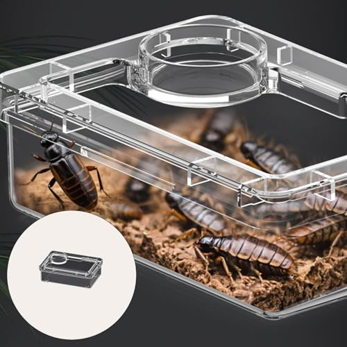 LEBETE Transparents Reptiles Feeder Bowl Escape Reptiles Food Container for Lizards Turtles and Small Pet Easy to Clean - color: Blue, size: 12.5×8.5×4.5cm