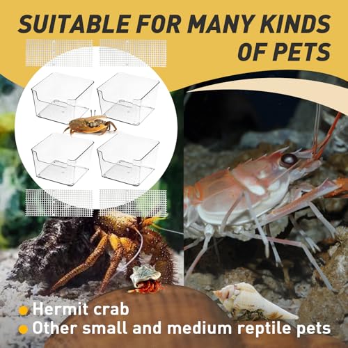 4 Packs Hermit Crab Water Tank - Ideal Hermit Crab Pool Combination - Water Tank with Cuttable Climbing Ramp - size: Small*4