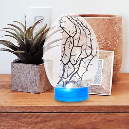 Beavorty Mini Aquarium Closed Aquatic Ecosystem with LED Lighting, Portable Small Fish Tank Desktop Plant Terrarium for Shrimp Breeding and Home Decoration, Blue Base