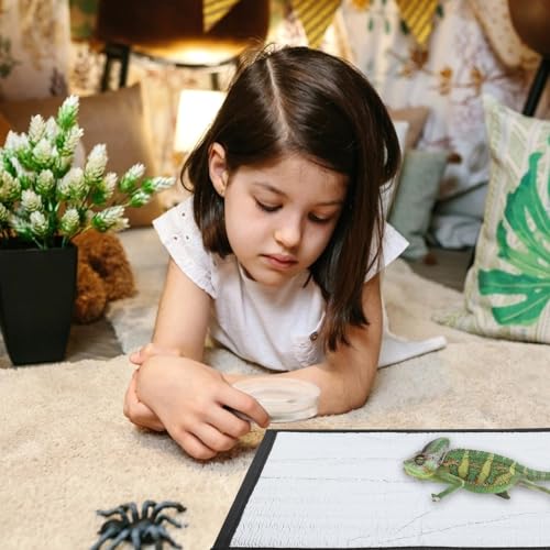 Totority Heating Pad for Reptiles Self-Heating Mat for Chinchillas Turtles and Pets Film Reptile Heat Pad for Cozy Habitats